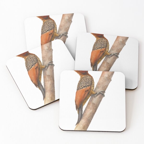 Item preview, Rufous-headed Woodpecker (Celeus spectabilis) designed and sold by HOMETOWN86.