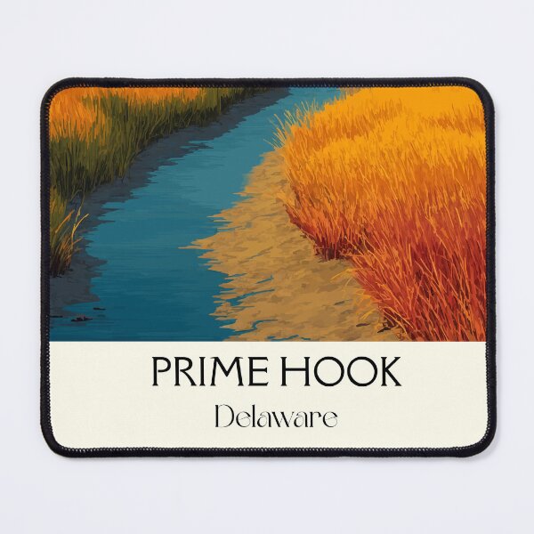 Item preview, Prime Hook Delaware Salt Marsh | Coastal Wildlife Refuge Poster designed and sold by TuncGK.