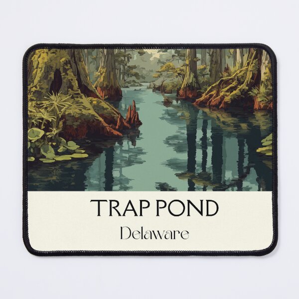 Item preview, Trap Pond Delaware State Park | Cypress Swamp Poster designed and sold by TuncGK.