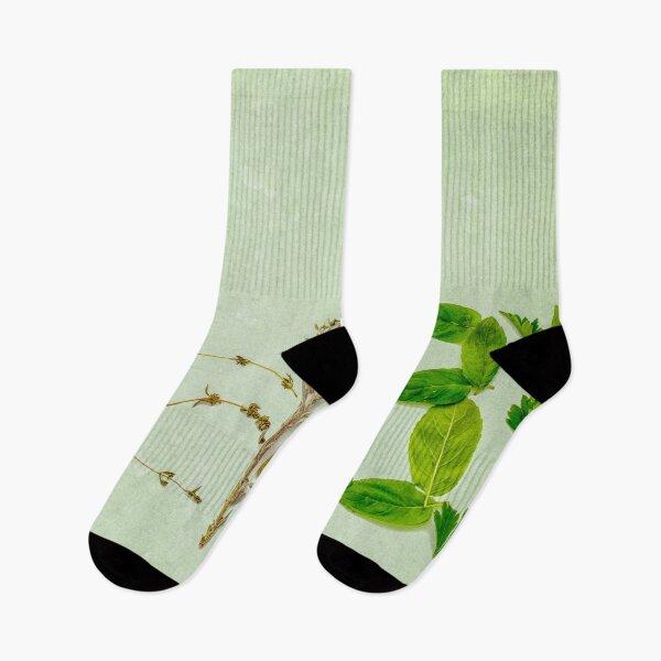 Item preview, Herbs designed and sold by Photopat.