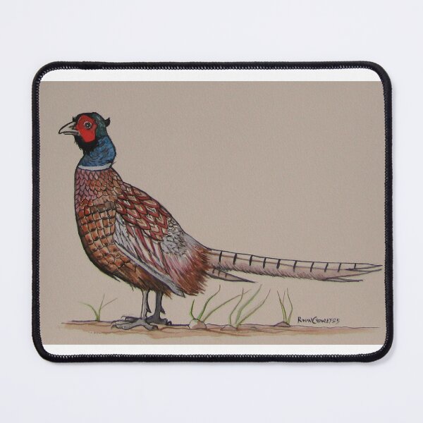 Item preview, Pheasant. Watercolor on 21x29.7cm paper. designed and sold by crowleyronan123.