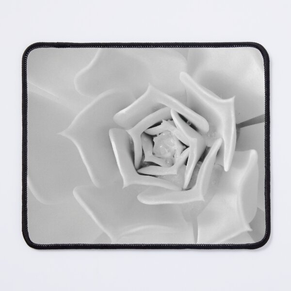 Item preview, White Succulent Layers designed and sold by Bold INK.