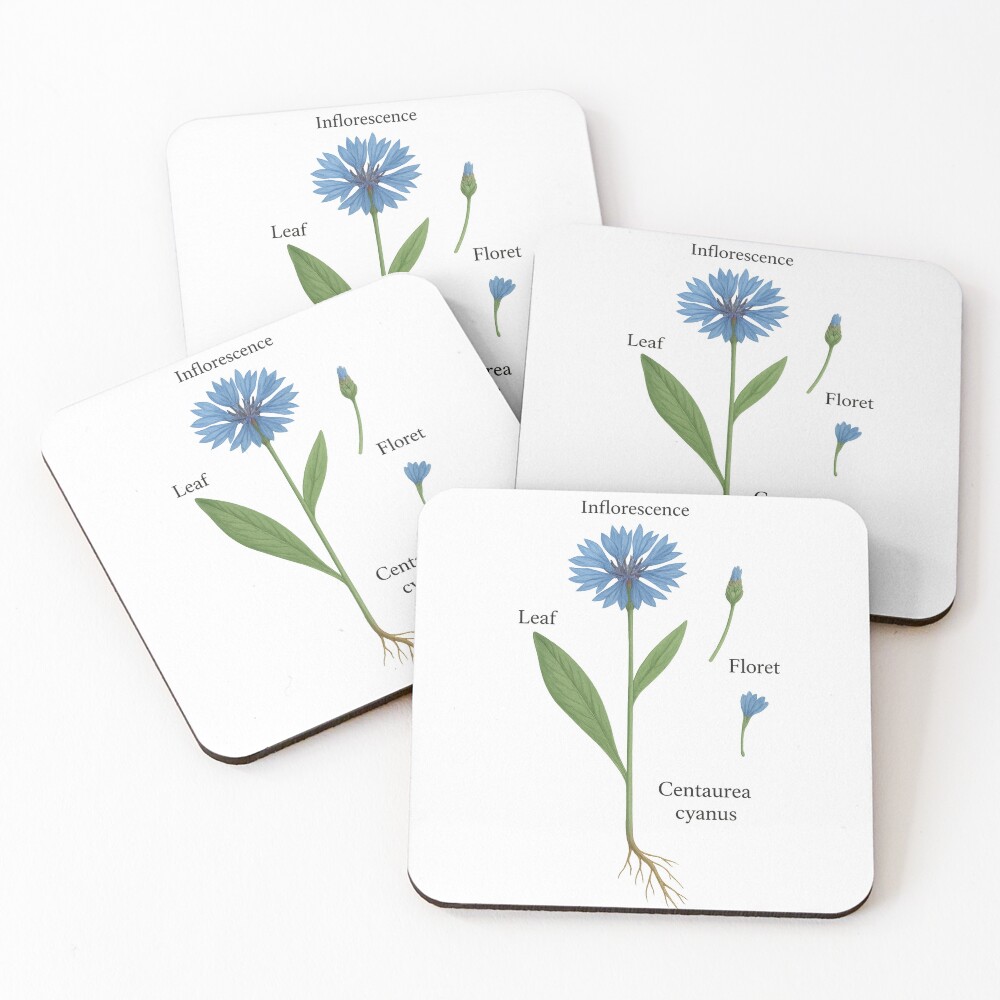 Item preview, Coasters (Set of 4) designed and sold by RikeSch.