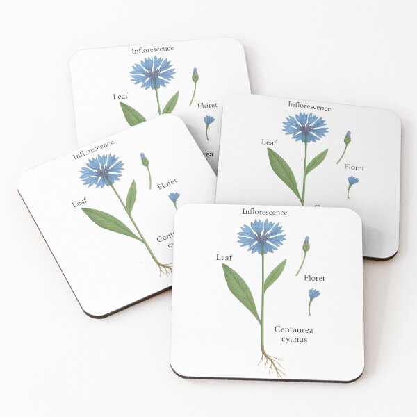 Item preview, Wild herbs designed and sold by RikeSch.