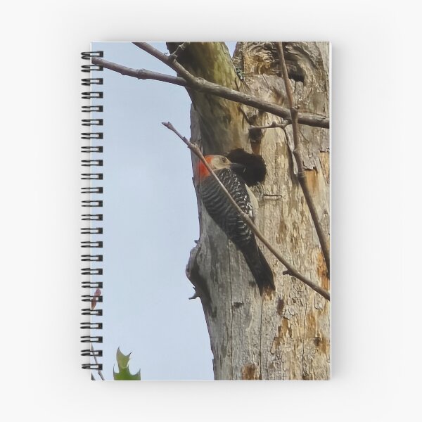 Item preview, Mr Woodpecker designed and sold by KristinDavidson.
