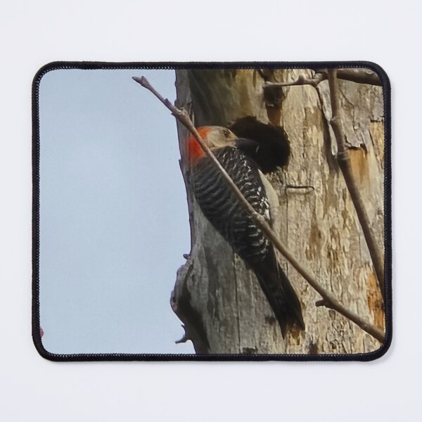 Item preview, Mr Woodpecker designed and sold by KristinDavidson.