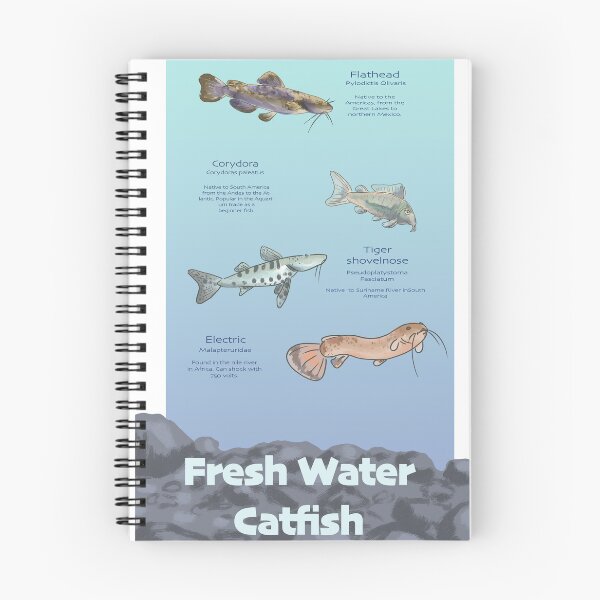 Item preview, Freshwater Catfish species designed and sold by Lou Comics.