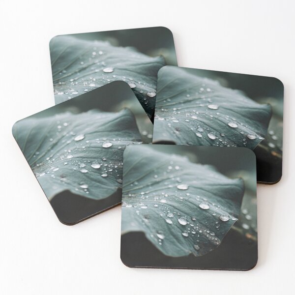 Item preview, Dew drops on green lotus leaves designed and sold by anytka.
