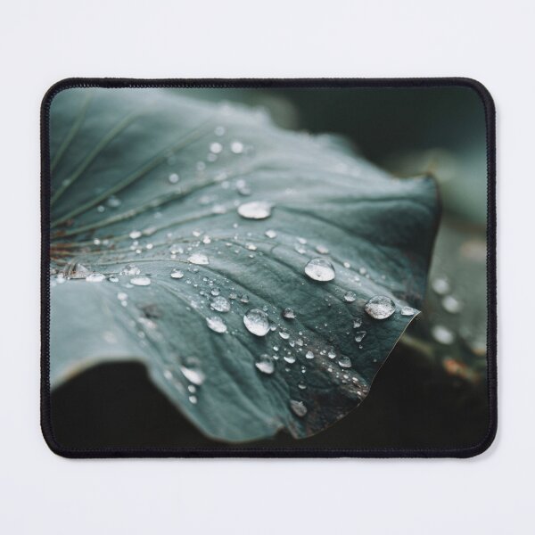 Item preview, Dew drops on green lotus leaves designed and sold by anytka.