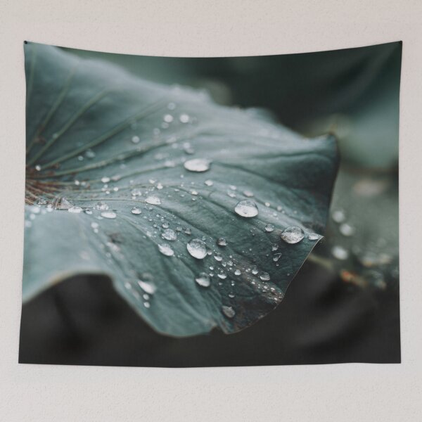 Item preview, Dew drops on green lotus leaves designed and sold by anytka.