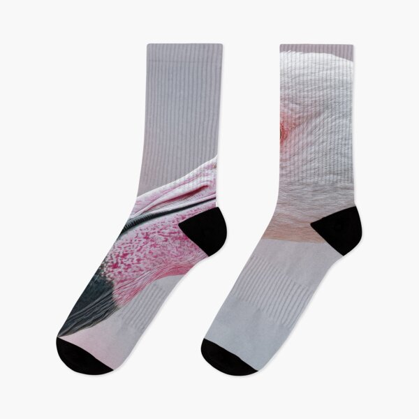 Item preview, Colorful flamingo in nature designed and sold by anytka.