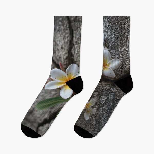 Item preview, Flowers growing from a cracked wall designed and sold by anytka.