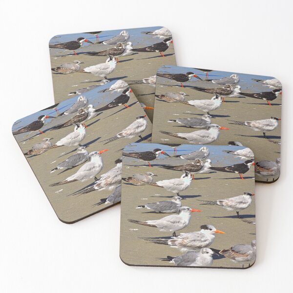 Item preview, Seagulls and Terns on Hilton Head Island designed and sold by LisaWootenPhoto.