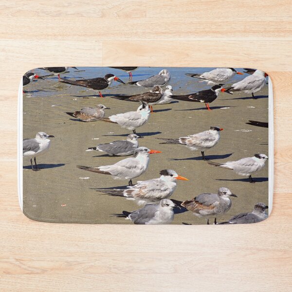 Item preview, Seagulls and Terns on Hilton Head Island designed and sold by LisaWootenPhoto.