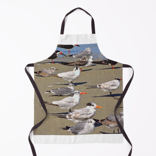 Item preview, Seagulls and Terns on Hilton Head Island designed and sold by LisaWootenPhoto.