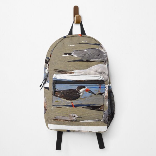 Item preview, Seagulls and Terns on Hilton Head Island designed and sold by LisaWootenPhoto.