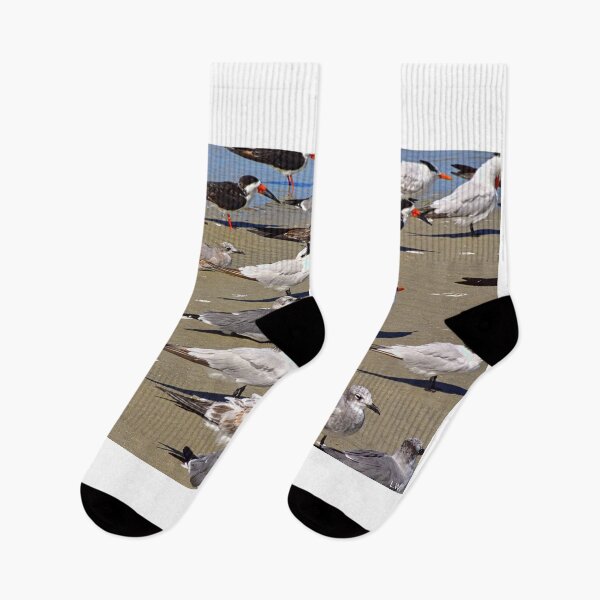 Item preview, Seagulls and Terns on Hilton Head Island designed and sold by LisaWootenPhoto.
