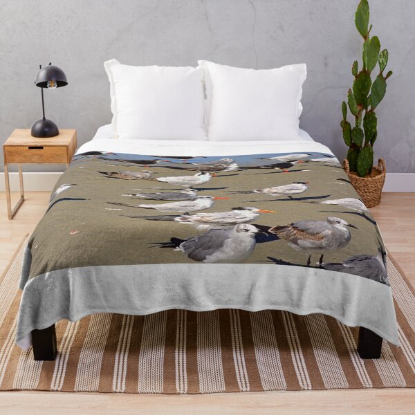 Item preview, Seagulls and Terns on Hilton Head Island designed and sold by LisaWootenPhoto.