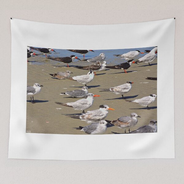 Item preview, Seagulls and Terns on Hilton Head Island designed and sold by LisaWootenPhoto.