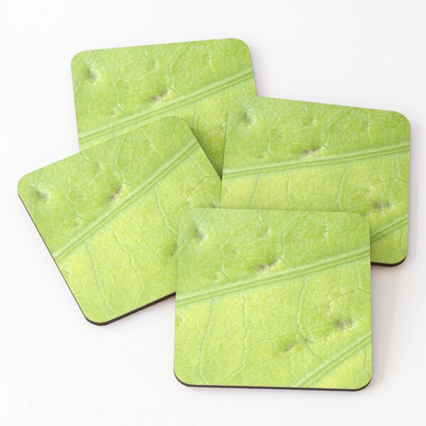 Item preview, Ornamental Chartreuse Sweet Potato Leaf Closeup designed and sold by Petalgrain.