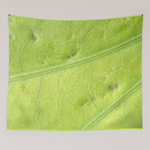 Item preview, Ornamental Chartreuse Sweet Potato Leaf Closeup designed and sold by Petalgrain.