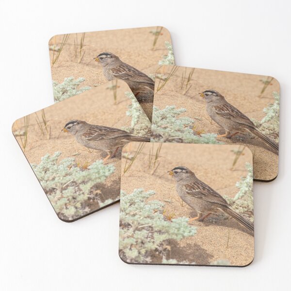 Item preview, White-crowned Sparrow on Sandy Ground designed and sold by jvnimages.