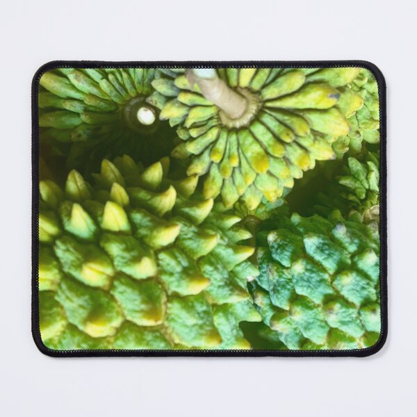 Item preview, “Cherimoya Pattern in Sunlight” designed and sold by TrisaThyme.