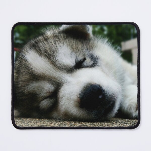 Item preview, Husky cute pet dog asleep designed and sold by NS22 fashions.