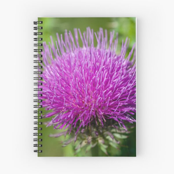 Item preview, Vibrant Purple Thistle Flower Close-up on Green Background designed and sold by 3 Hours of Silence.