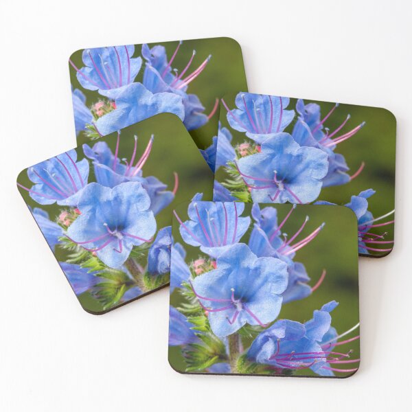Item preview, Bright blue flowers of Common Bluebell (Echium vulgare) close-up designed and sold by 3 Hours of Silence.