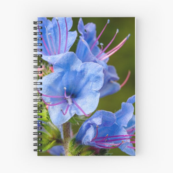 Item preview, Bright blue flowers of Common Bluebell (Echium vulgare) close-up designed and sold by 3 Hours of Silence.