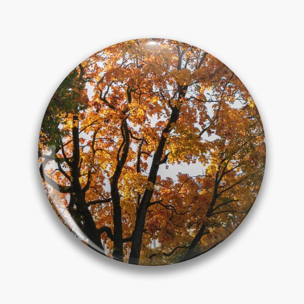 Item preview, Autumn in the city designed and sold by DanRaizPhoto.