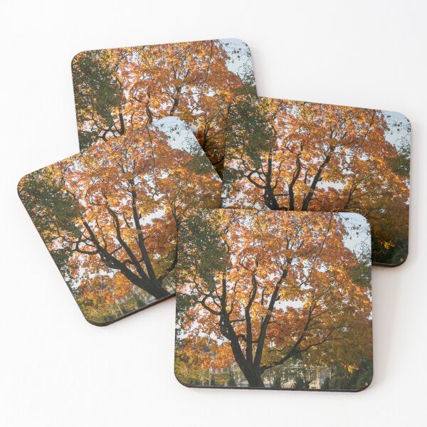 Item preview, Autumn in the city designed and sold by DanRaizPhoto.