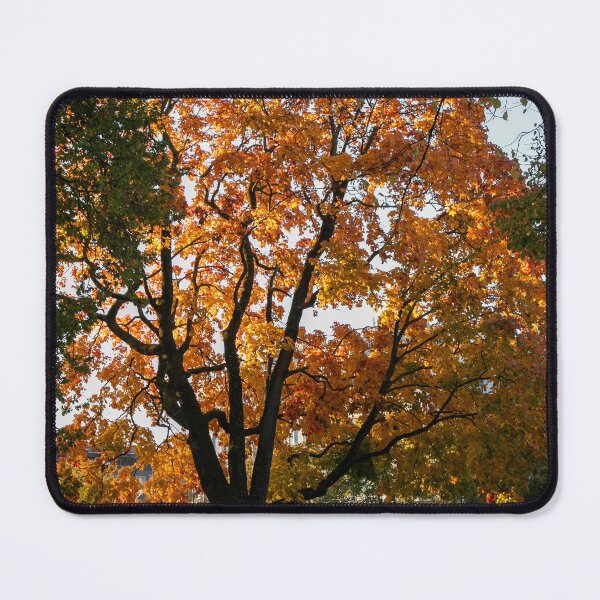 Item preview, Autumn in the city designed and sold by DanRaizPhoto.