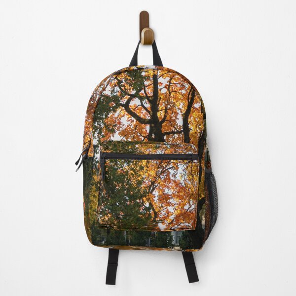 Item preview, Autumn in the city designed and sold by DanRaizPhoto.