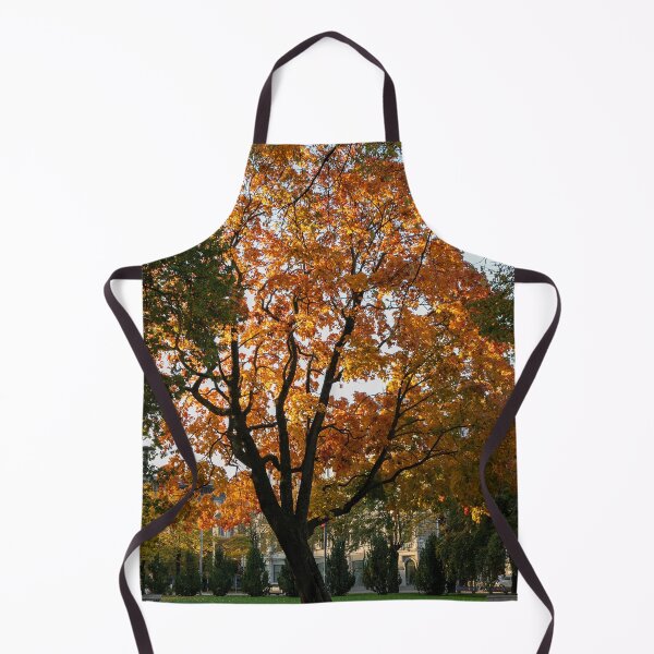 Item preview, Autumn in the city designed and sold by DanRaizPhoto.