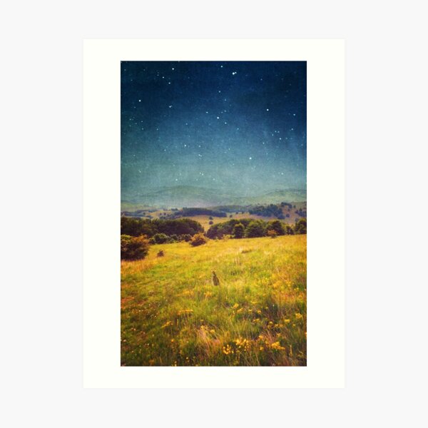 Art Print
