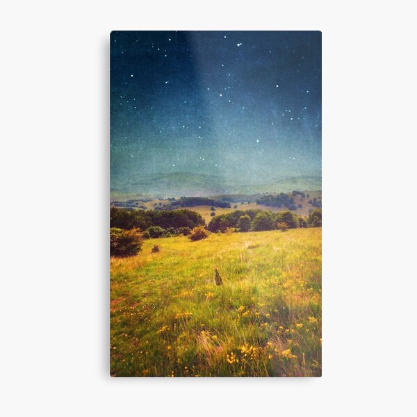 Metal Print