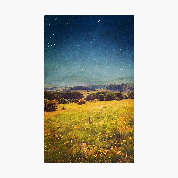 Photographic Print