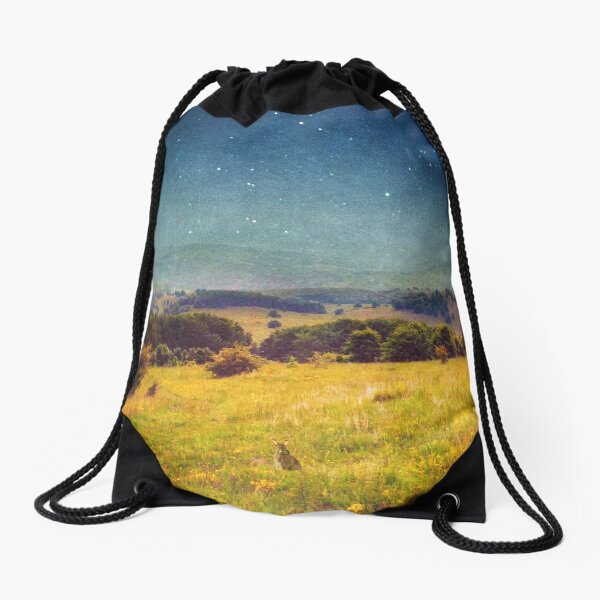 Drawstring Bag