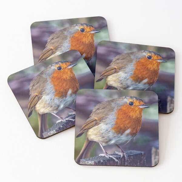 Item preview, Robin designed and sold by Tom McPherson Photography.