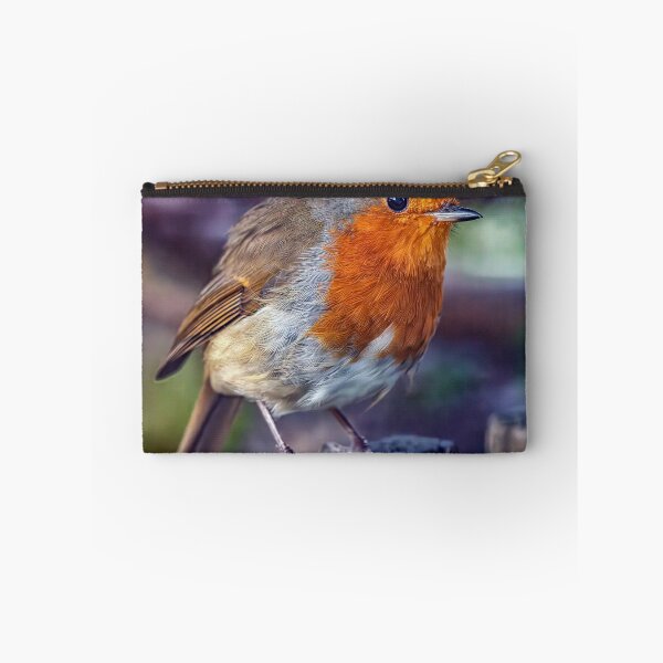 Item preview, Robin designed and sold by Tom McPherson Photography.
