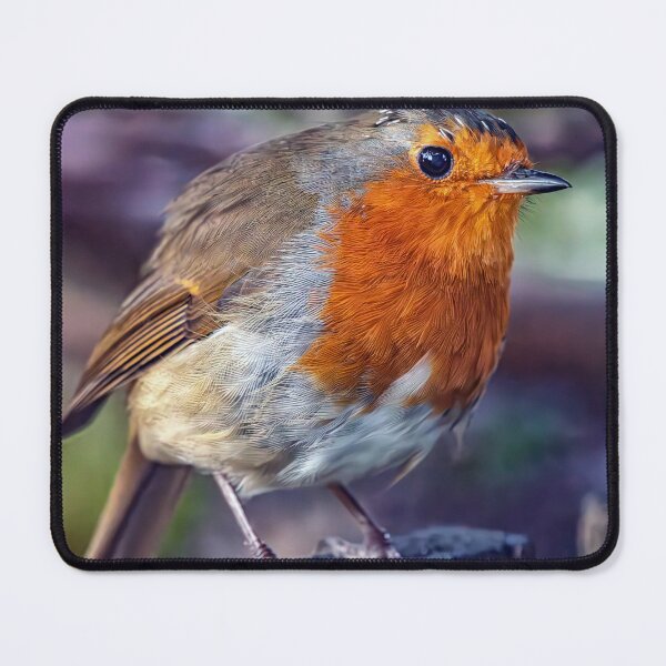 Item preview, Robin designed and sold by Tom McPherson Photography.