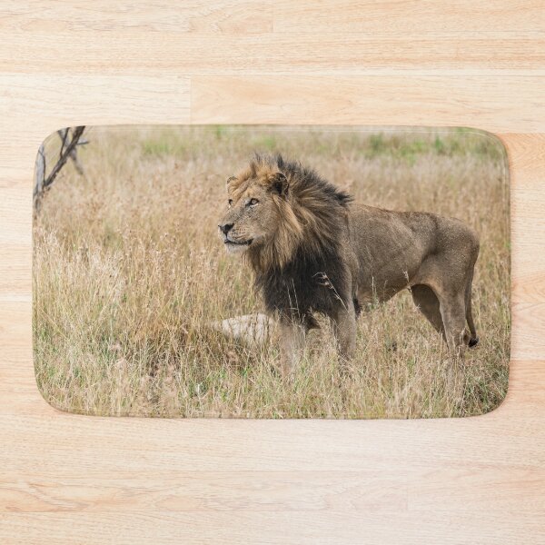 Item preview, Bloodline of the Shishangaan — Footlose, Kruger Lion designed and sold by DavideAntoniani.