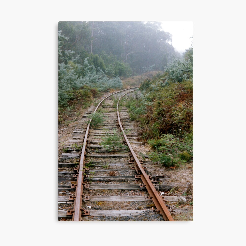 Rusty Rails into the Mist (Value Truth) Canvas Print