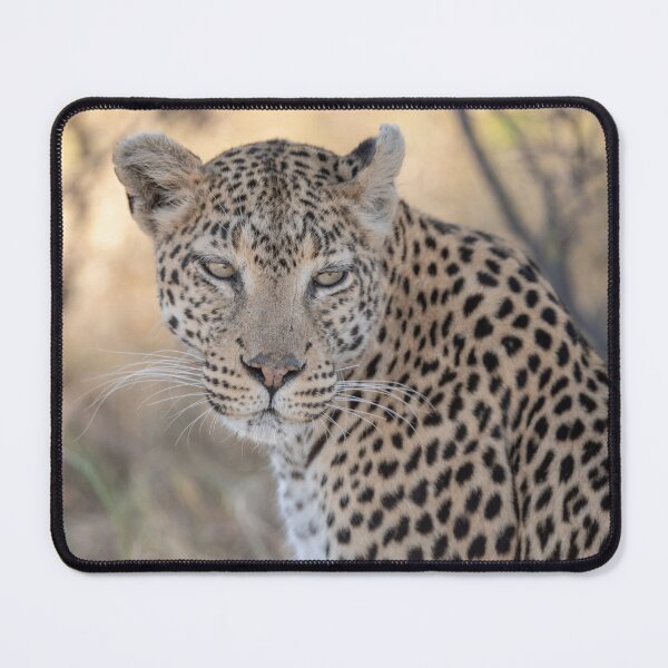 Item preview, Ember Eyes of the Bush — Leopard Portrait designed and sold by DavideAntoniani.