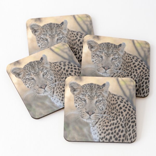 Item preview, Ember Eyes of the Bush — Leopard Portrait designed and sold by DavideAntoniani.