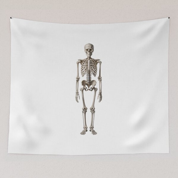 Item preview, Realistic Skeleton designed and sold by ArtQueen777.