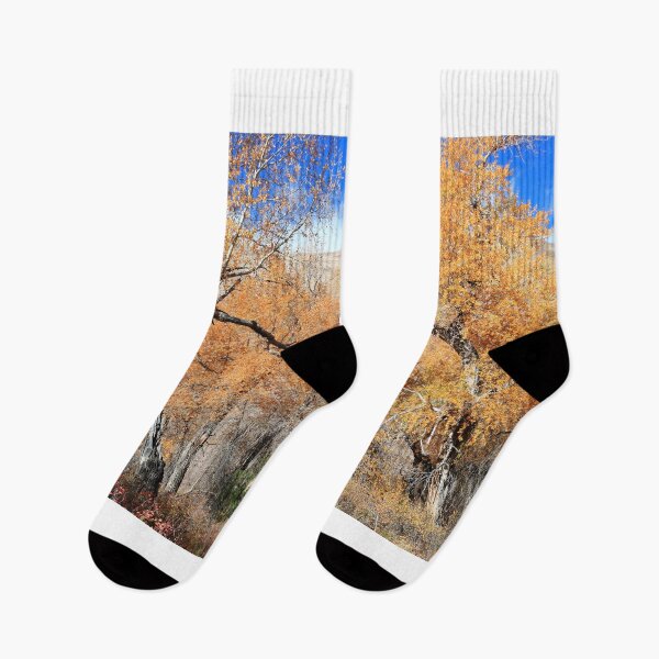 Item preview, Autumn in Great Sand Dunes NP designed and sold by zumi.