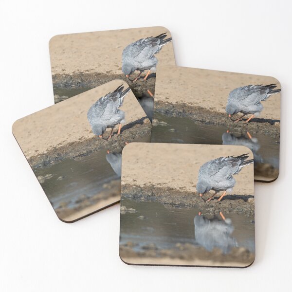 Item preview, Desert Mirror — Pale Chanting Goshawk at the Waterhole designed and sold by DavideAntoniani.